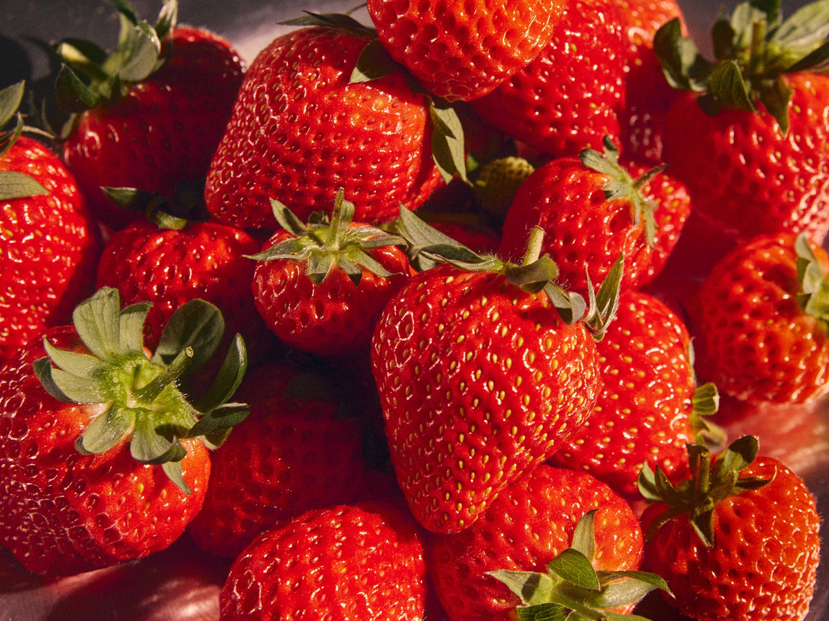 NHK『サタデーウオッチ9』にて紹介(1/10)