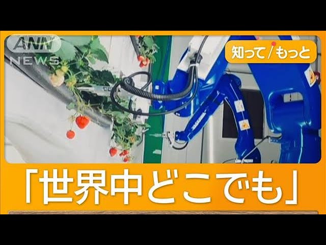 テレビ朝日『グッド!モーニング』にてCEO古賀のインタビューが放送