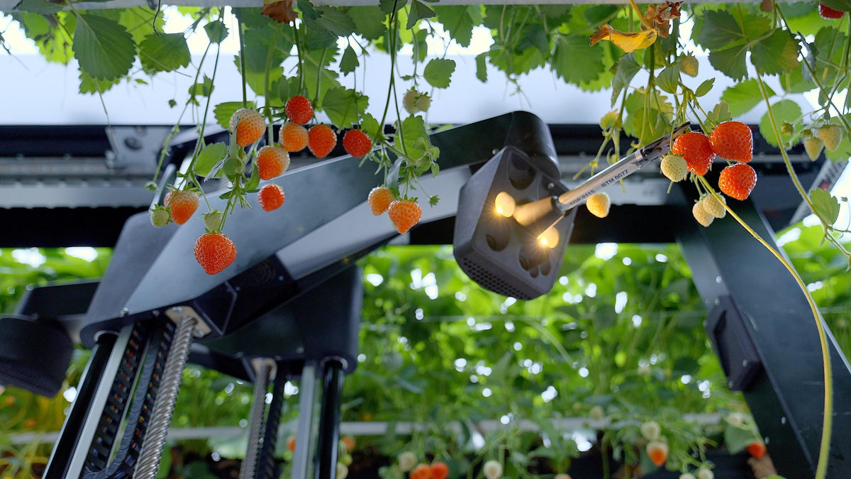 自動収穫をリードするスタートアップ Tortuga AgTech の技術関連資産を買収