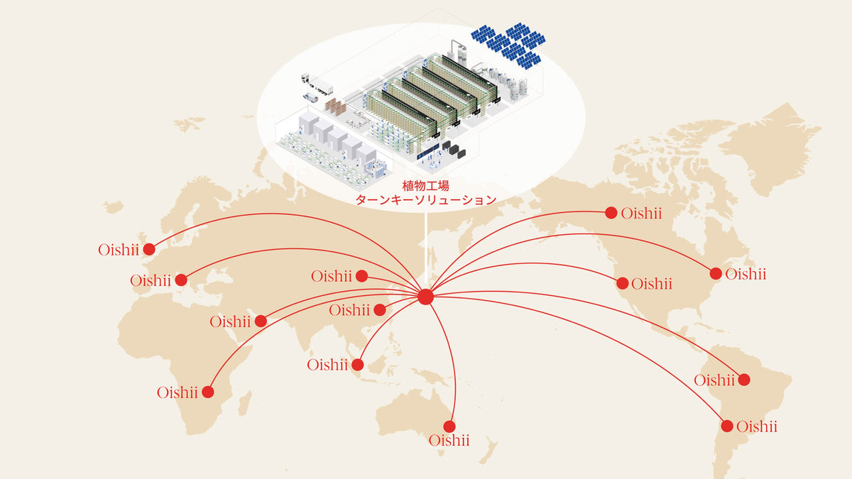 植物工場スタートアップ「Oishii Farm」日本進出、首都圏にオープンイノベーションセンターを設立