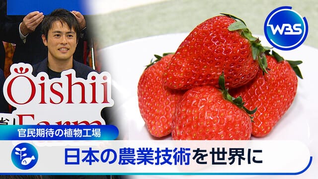 テレビ東京『WBS』にて放送（8/5）