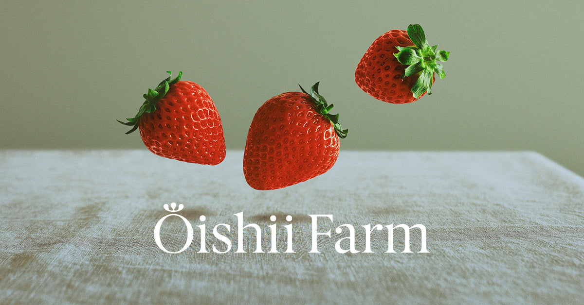 ウェブサイトリニューアルのお知らせ