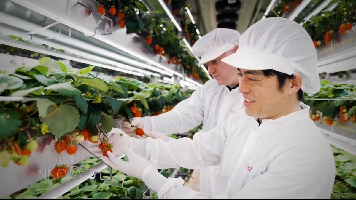 CNN『特別番組：世界のイノベーターたち』にて特集（1/10）